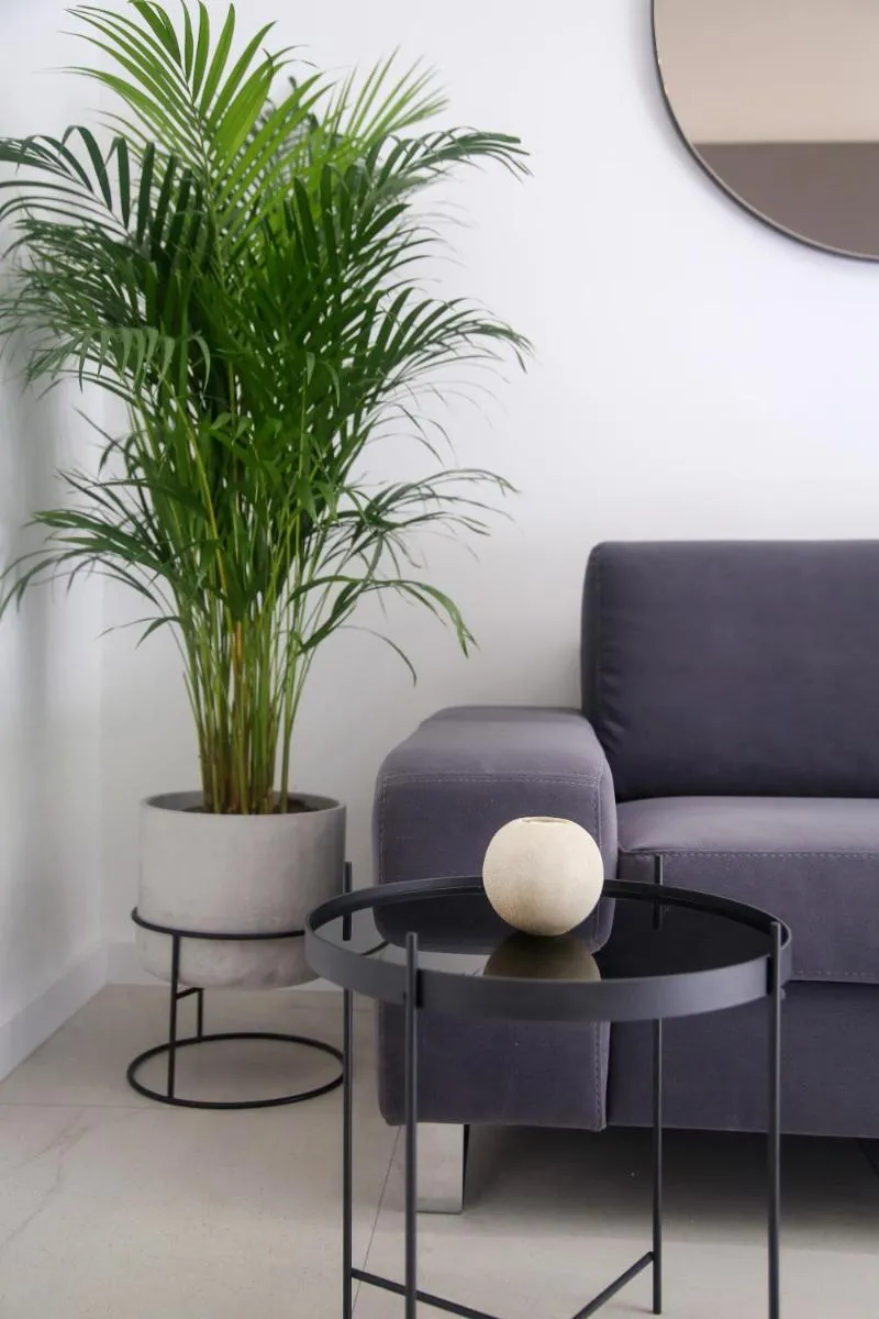 Image 3 of Apartments HUGO 2