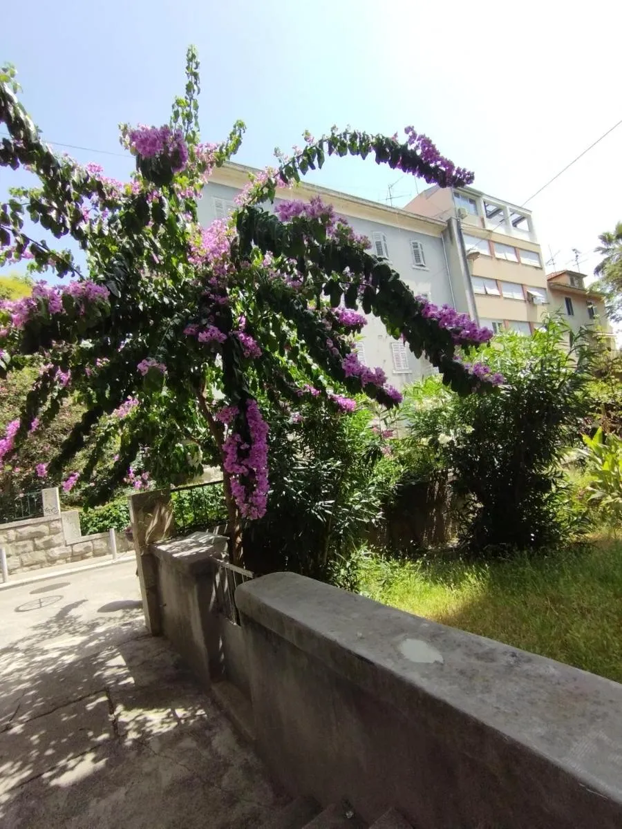 Image 5 of Bugenvilija apartment