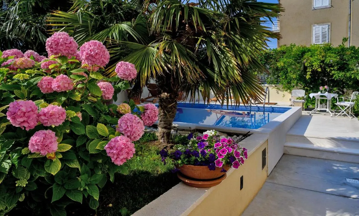 Image 6 of Palace Schön Milesi – esense of prestige – private pool – free parking – old money style luxury rooms – BURALUX properties