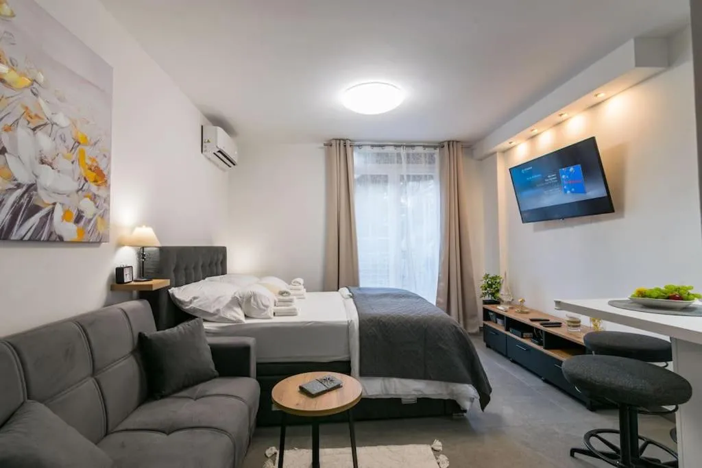 Image of Studio Apartment Mot